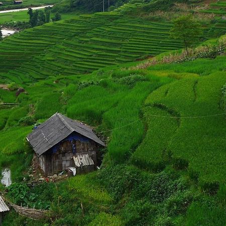 Freedom Homestay & Trekking Sapa Exterior photo