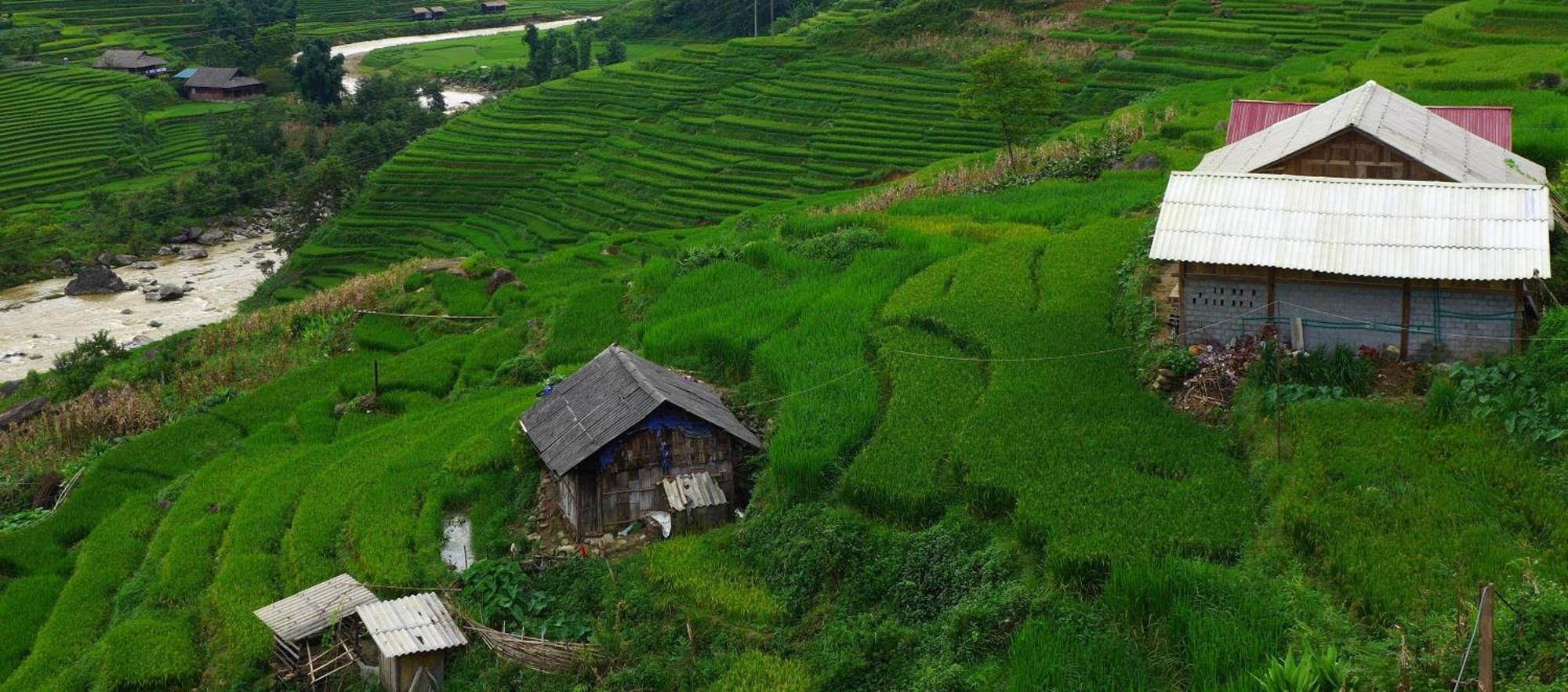 Freedom Homestay & Trekking Sapa Exterior photo