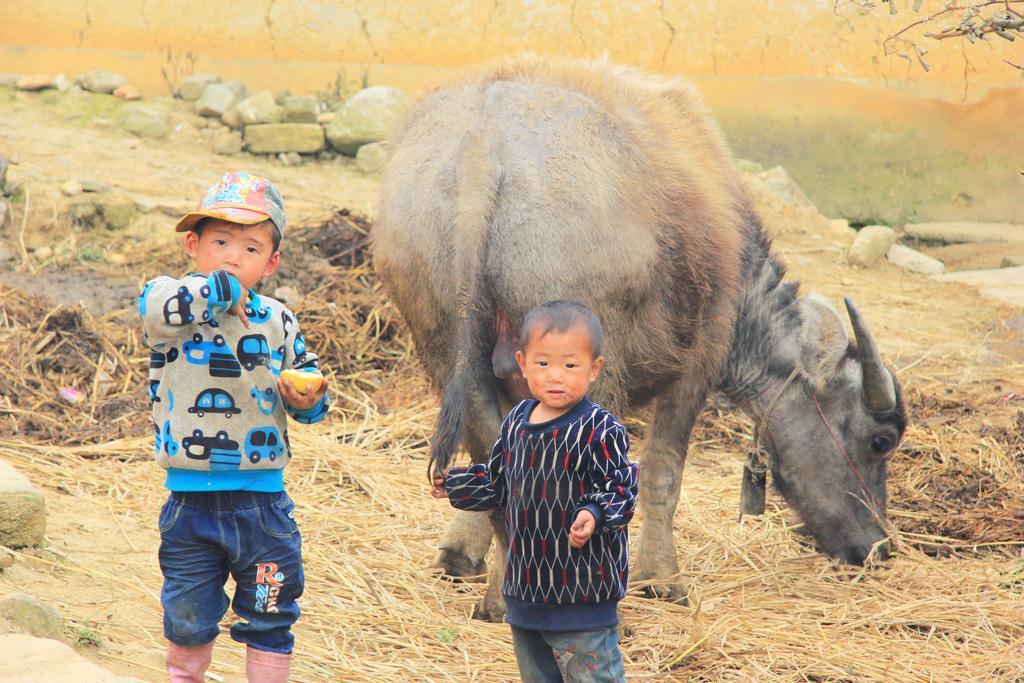 Freedom Homestay & Trekking Sapa Exterior photo