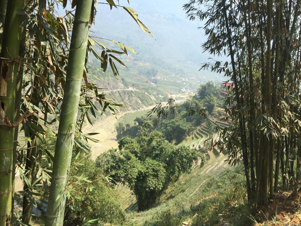 Freedom Homestay & Trekking Sapa Exterior photo