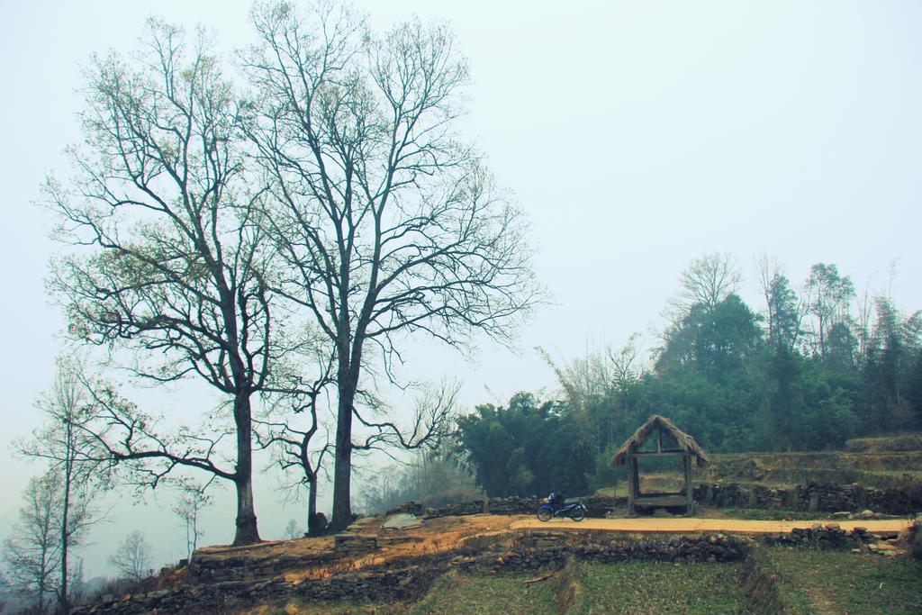 Freedom Homestay & Trekking Sapa Exterior photo