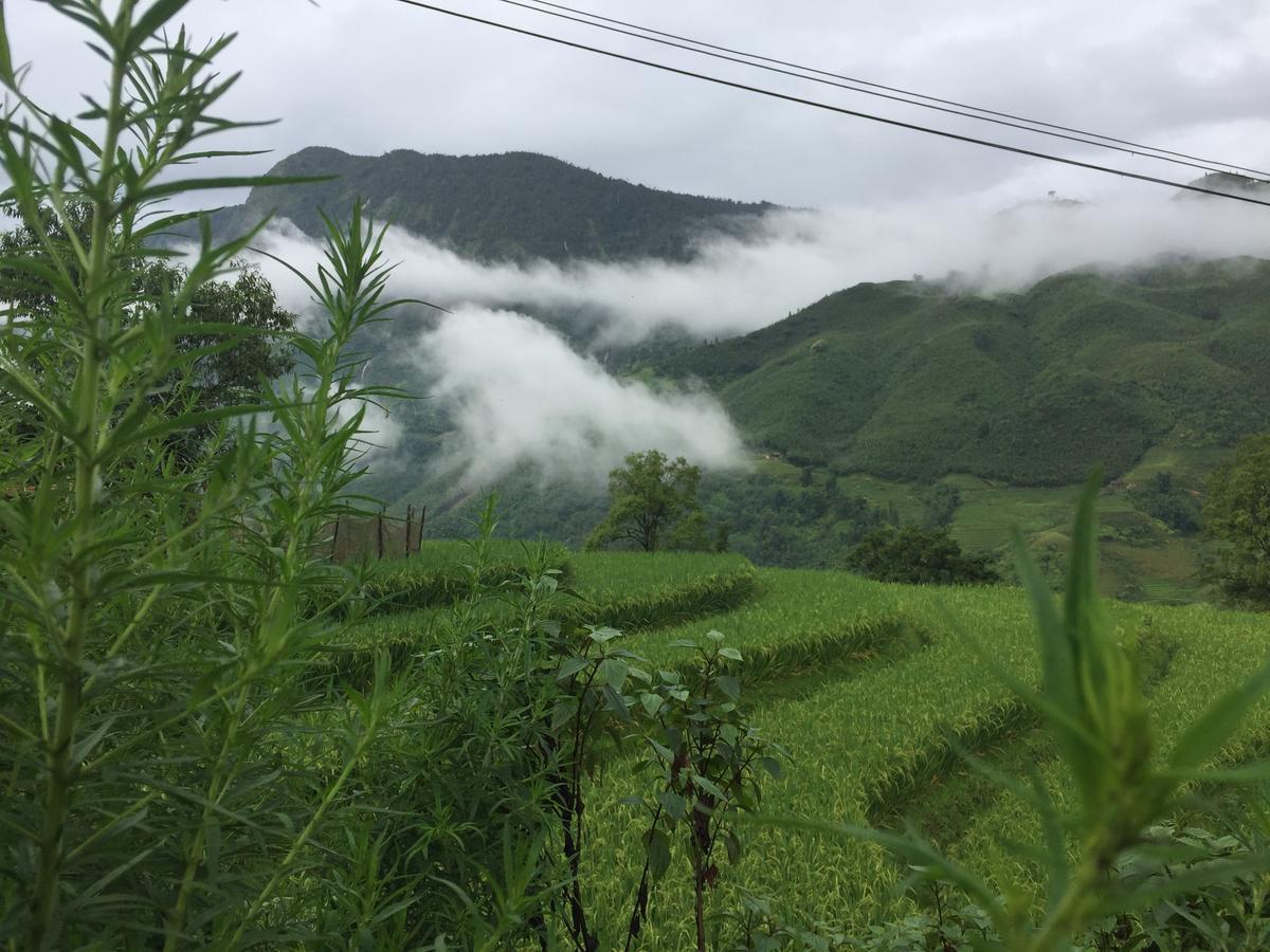 Freedom Homestay & Trekking Sapa Exterior photo