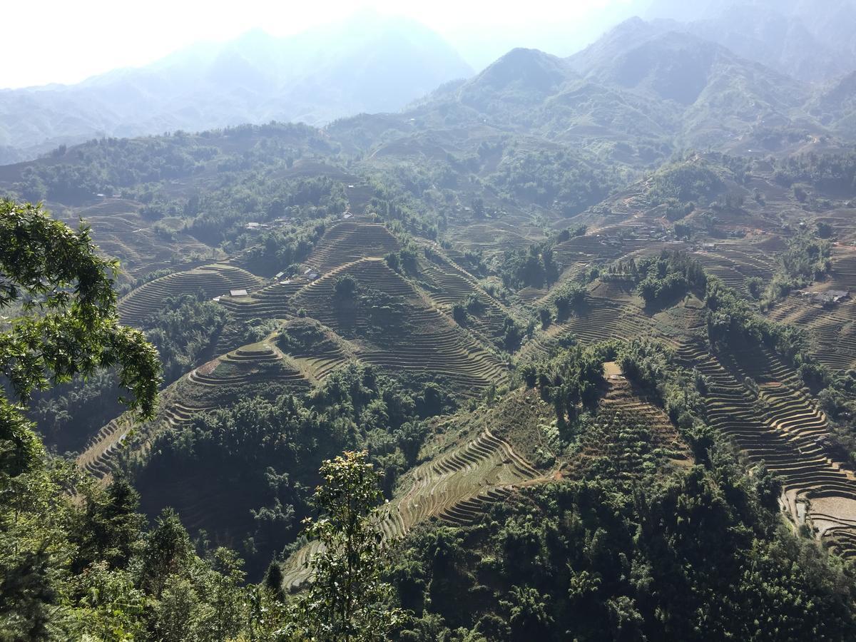 Freedom Homestay & Trekking Sapa Exterior photo
